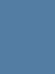 [NI918-1671] Polyneon 40 5000m Blue 1671