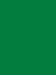 [NI918-1651] Polyneon 40 5000m Emerald 1651