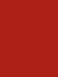 [NI918-1637] Polyneon 40 5000m Red 1637