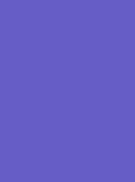 RheinGold Rayon 40 5000m Lavender 4330