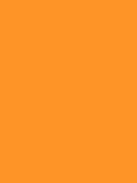 RheinGold Rayon 40 5000m Orange 4278