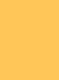 RheinGold Rayon 40 5000m Yellow 4171
