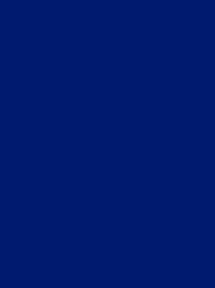 RheinGold Rayon 40 5000m Blue 4166