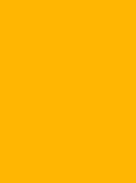 Polyneon 40 5000m Fluor Yellow 1925
