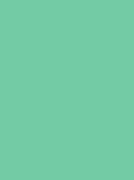 Polyneon 40 5000m Mint 1845