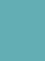 [911-1088] Classic 40 1000m Turquoise 1088