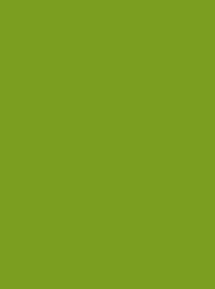 [RI910-1469] Classic 40 5000m Green 1469