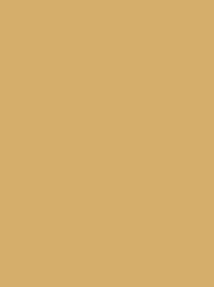 [RI910-1470] Classic 40 5000m Light Gold 1470