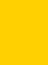 [NI919-1980] Polyneon 40 1000m Yellow 1980