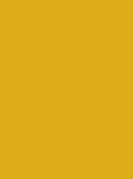 [NI919-1724] Polyneon 40 1000m Yellow 1724