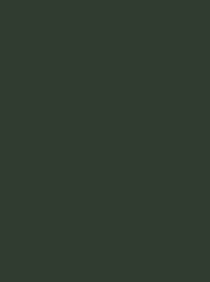 [NI919-1669] Polyneon 40 1000m Dark Green 1669