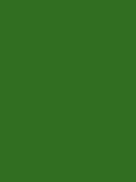 [NI919-1650] Polyneon 40 1000m Green 1650