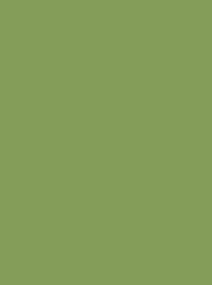 [NI919-1648] Polyneon 40 1000m Green 1648