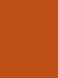 [NI919-1621] Polyneon 40 1000m Burnt Orange 1621