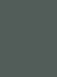 [NI919-1614] Polyneon 40 1000m Dark Grey 1614
