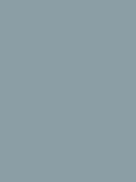 [NI919-1613] Polyneon 40 1000m Grey 1613
