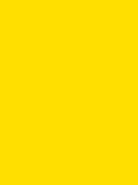 [924 1924] Polyneon 60 1500m Yellow 1924