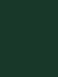 [924 1902] Polyneon 60 1500m Dark Green 1902