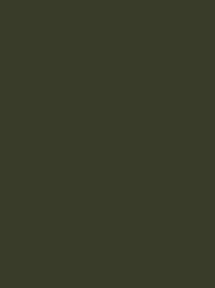 [924 1795] Polyneon 60 1500m Olive Green 1795