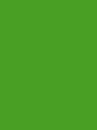 [933-1701] Polyneon 40 FR 2500m Bright Green 933-1701