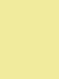 [942 7866] Frosted Matt 40 1000m Yellow 7866