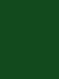 [V901-4390] RheinGold Rayon 40 5000m Sea Green 4390