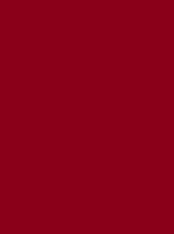 [V901-4384] RheinGold Rayon 40 5000m Maroon 4384