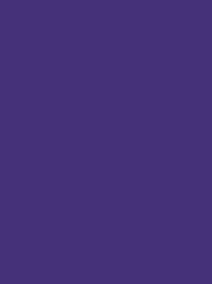 [V901-4343] RheinGold Rayon 40 5000m Violet 4343