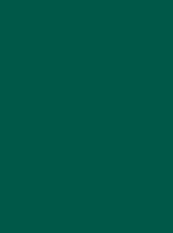 [V901-4304] RheinGold Rayon 40 5000m Dark Green 4304