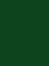 [V901-4303] RheinGold Rayon 40 5000m Green 4303