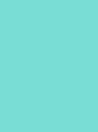 [V901-4045] RheinGold Rayon 40 5000m Pale Aqua 4045