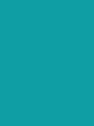 [NI918-1888] Polyneon 40 5000m Turquoise 1888