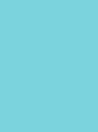 [NI918-1892] Polyneon 40 5000m Turquoise 1892